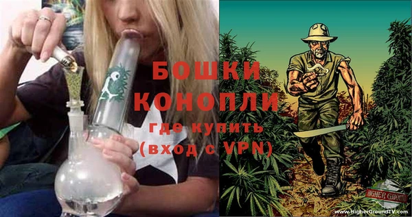 трава Белокуриха