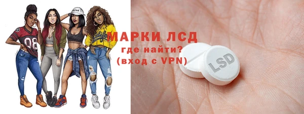 трава Белокуриха