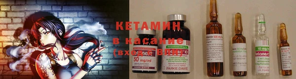 трава Белокуриха