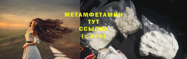 прущие грибы Наволоки