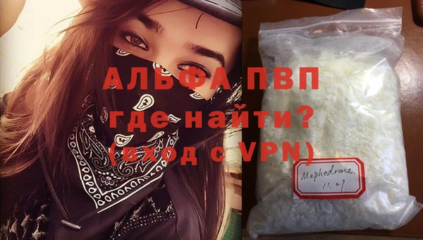 трава Белокуриха