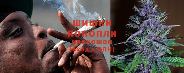 трава Белокуриха