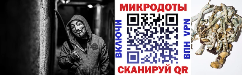 продажа наркотиков  Гудермес  Галлюциногенные грибы Psilocybine cubensis 